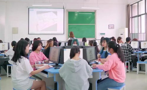 会计专业的从事电子商务